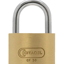 CF30 C HÆNGELÅS 30 MM MESSING 1 STK|Abus Clearance