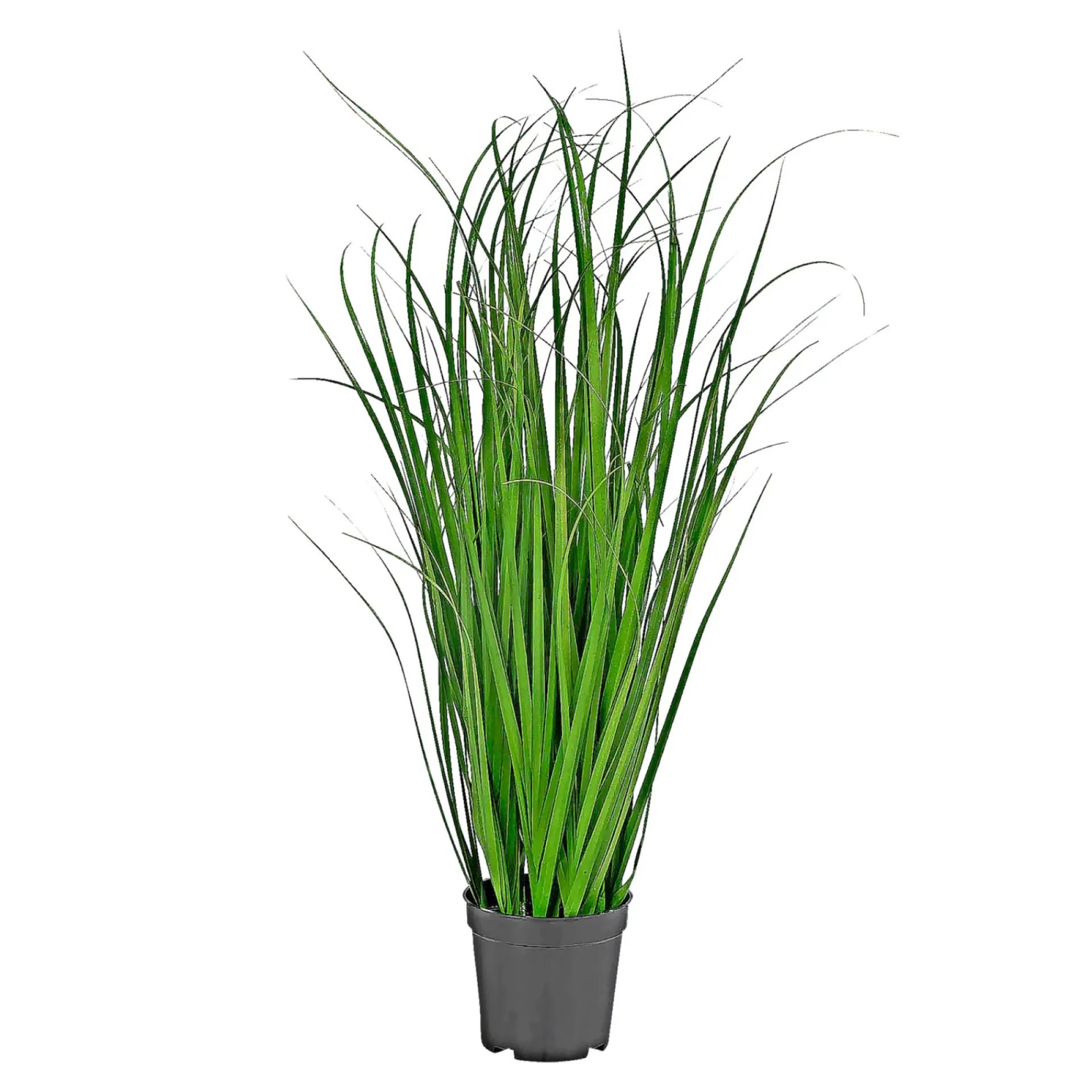 BOLIGINTERIØR GRÆS KUNSTIG PLANTE 68 CM|Boliginteriør Hot