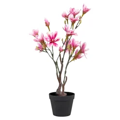BOLIGINTERIØR MAGNOLIATRÆ KUNSTIG PLANTE 75 CM|Boliginteriør Discount