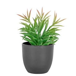 BOLIGINTERIØR SUKULENT KUNSTIG PLANTE 19 CM|Boliginteriør Discount