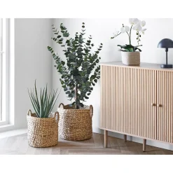 BOLIGINTERIØR VANDHYACINT KURVESÆT NATUR H30/H35 CM|Boliginteriør New
