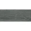 LAP WOOD PLANK 10 X 190 X 3600 MM BASALT GRÅ|Cedral Hot