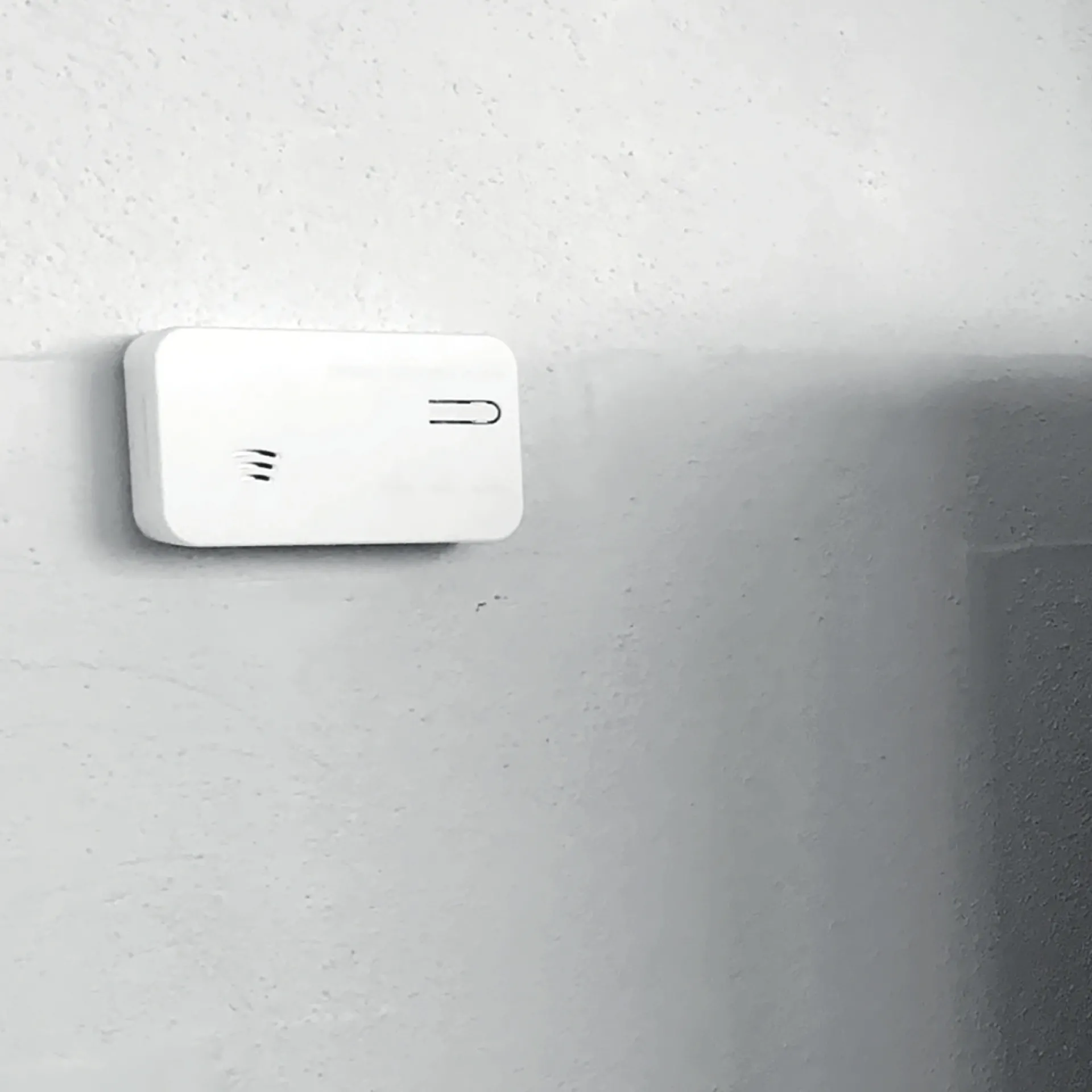 SMART KULILTEALARM|FESH Sale