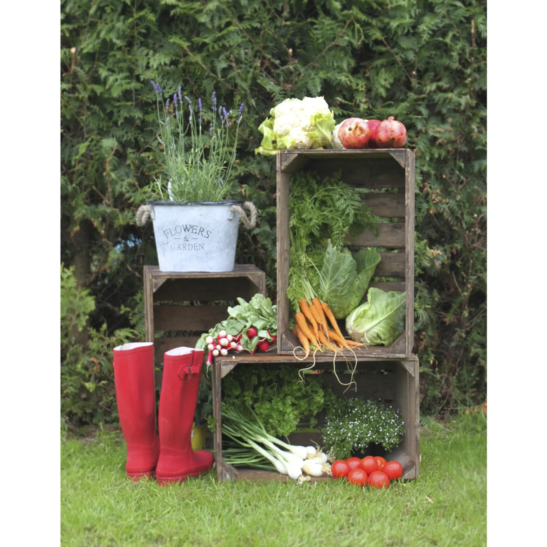 ÆBLEKASSE TRÆ NATUR 40X51X31|Garden Life Online