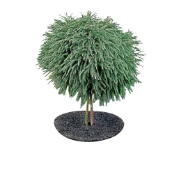 GRÆSKANT Ø50XH7 CM|Garden Life Best