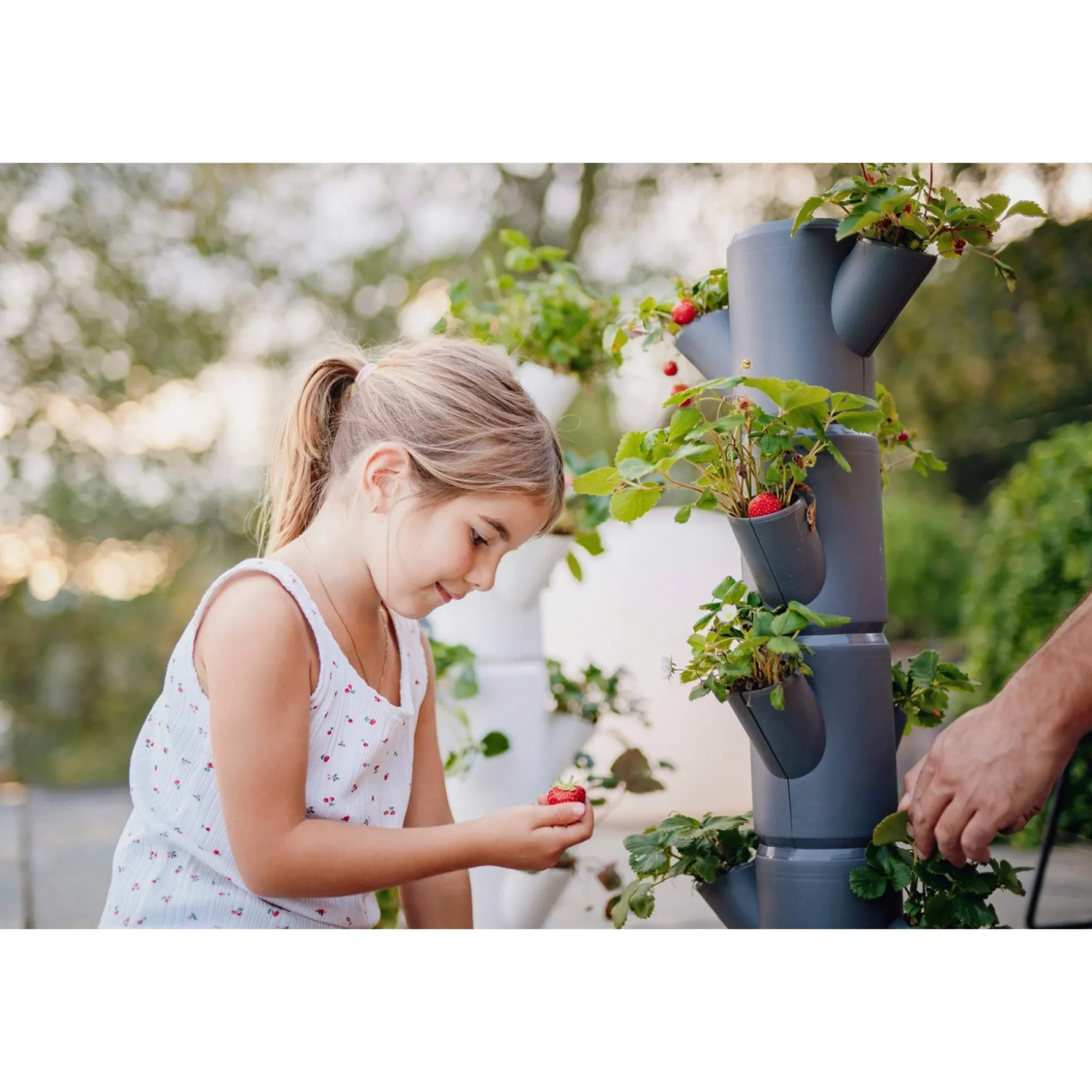GARDEN LIFE JORDBÆR PLANTEKASSE Ø32XH77 CM