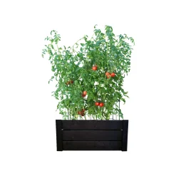 KAPILÆRKASSESKJULER SORT|Garden Life Clearance