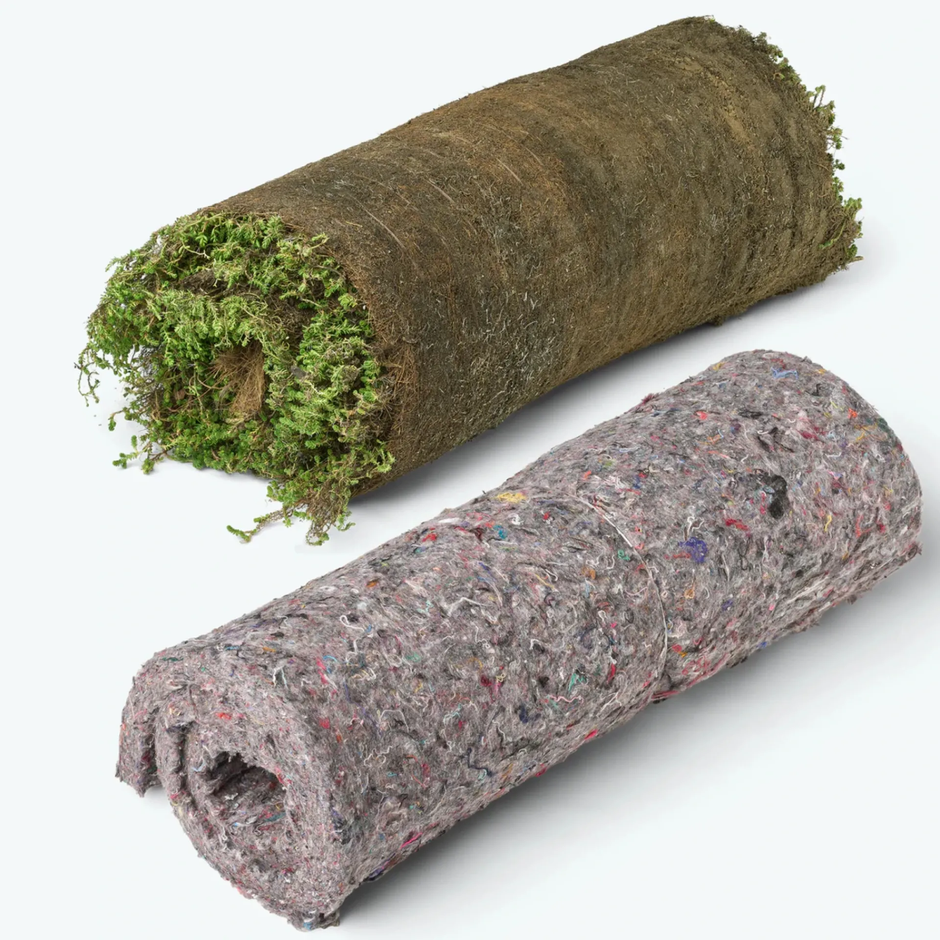 SEDUMPLUS SEDUMMÅTTE|GrowTek Online