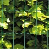 HEGN GRØN PLASTBELAGT 0.60 X 25 M|Hortus New