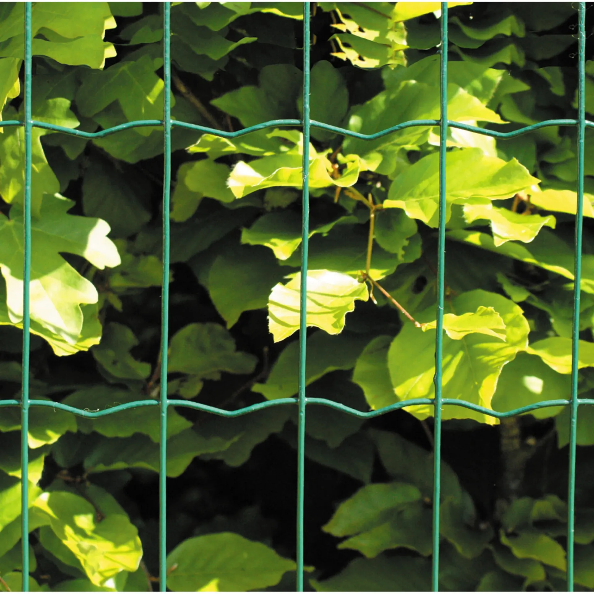HEGN GRØN PLASTBELAGT 0.60 X 25 M|Hortus New
