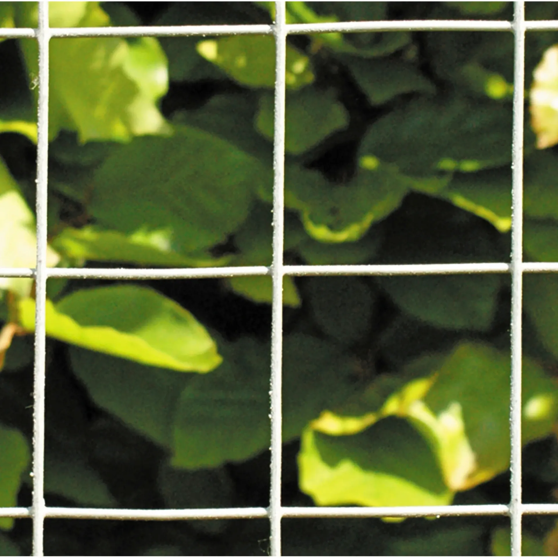 HEGN SØLV GALVANISERET 0.60 X 25 M|Hortus Discount