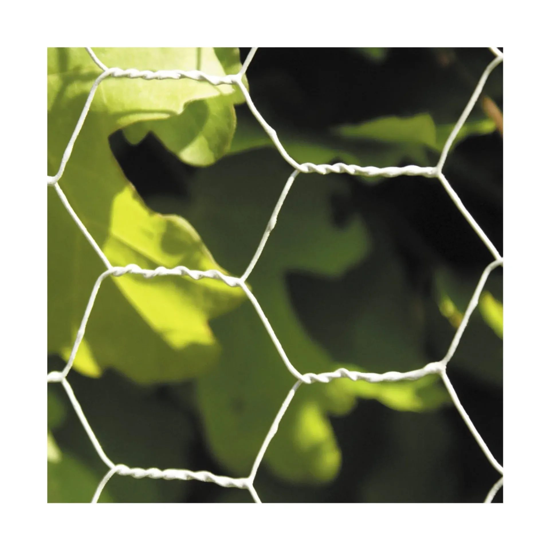 HØNSETRÅD GALVANISERET 0.90 X 30 M 50 MM|Hortus Hot