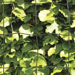 HORTUS PVC FRI TRÅDHEGN SORT PLASTBELAGT 0.60 X 20 M