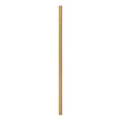 AFSLUTNINGSLISTE EG KLAR OLIE 16 X 67 X 2400 MM|I-Wood Sale