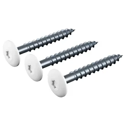 FACADESKRUE HVID 4,8X39 MM 250 STK|James Hardie New