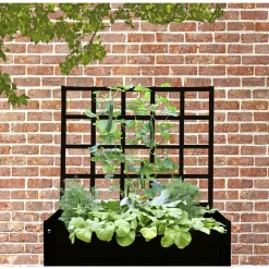 ESPALIER|LAND Clearance