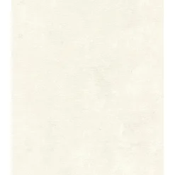 STUDIO 2027 ENSFARVET TAPET 0,53X10 M|Rasch Clearance