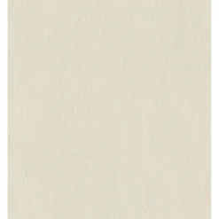 STUDIO 2027 ENSFARVET TAPET 0,53X10 M|Rasch Online