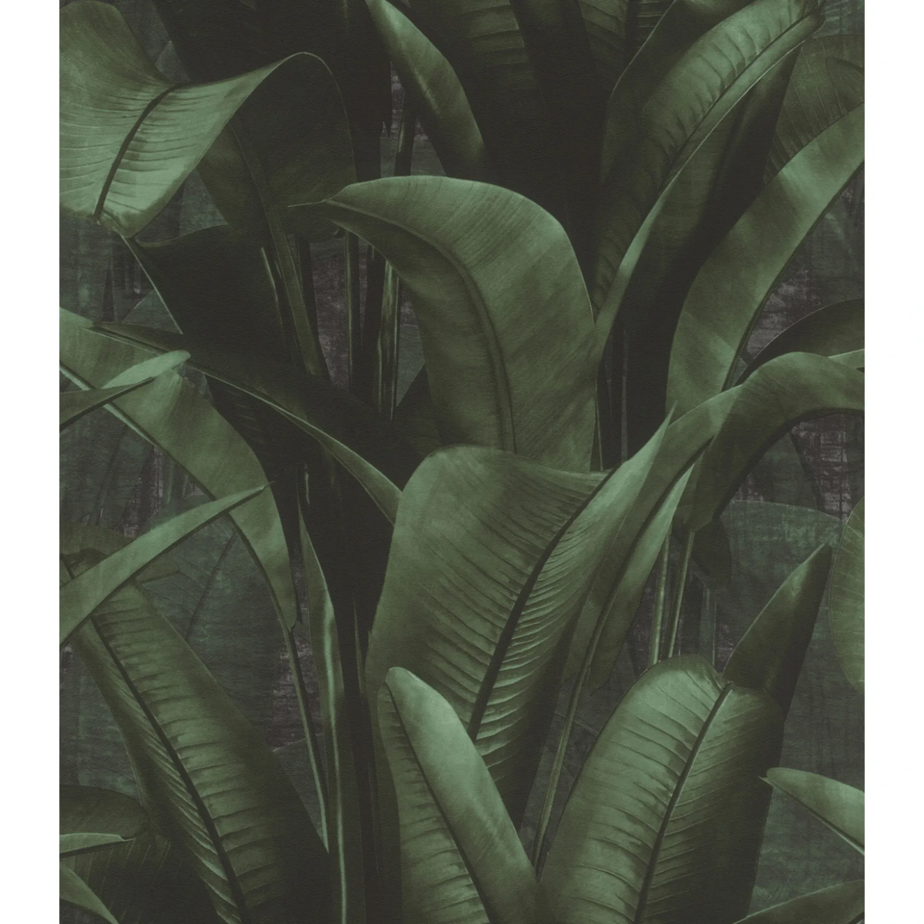 RASCH STUDIO 2027 PALMER TAPET 0,53X10 M