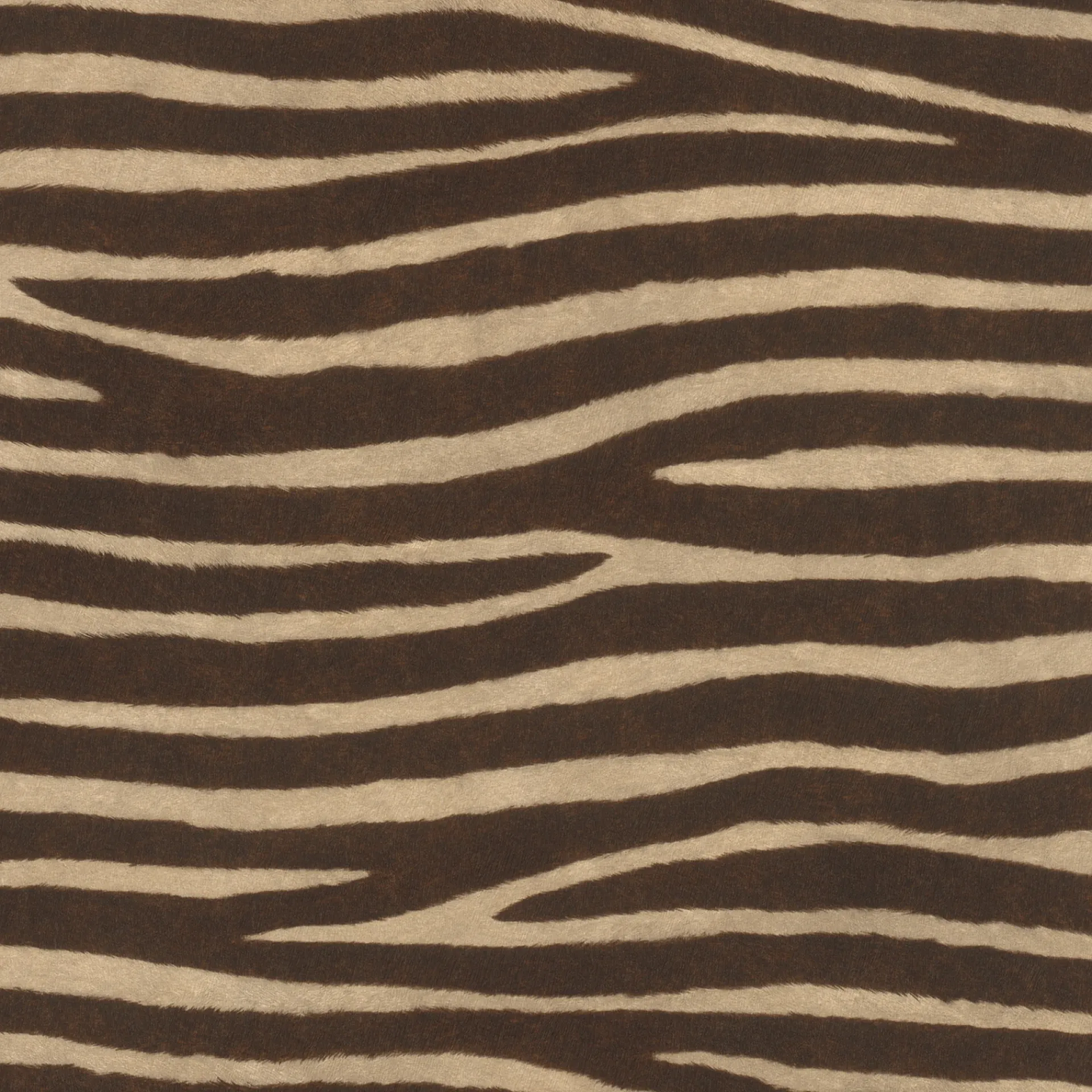 STUDIO 2027 ZEBRAPELS TAPET 0,53X10 M|Rasch