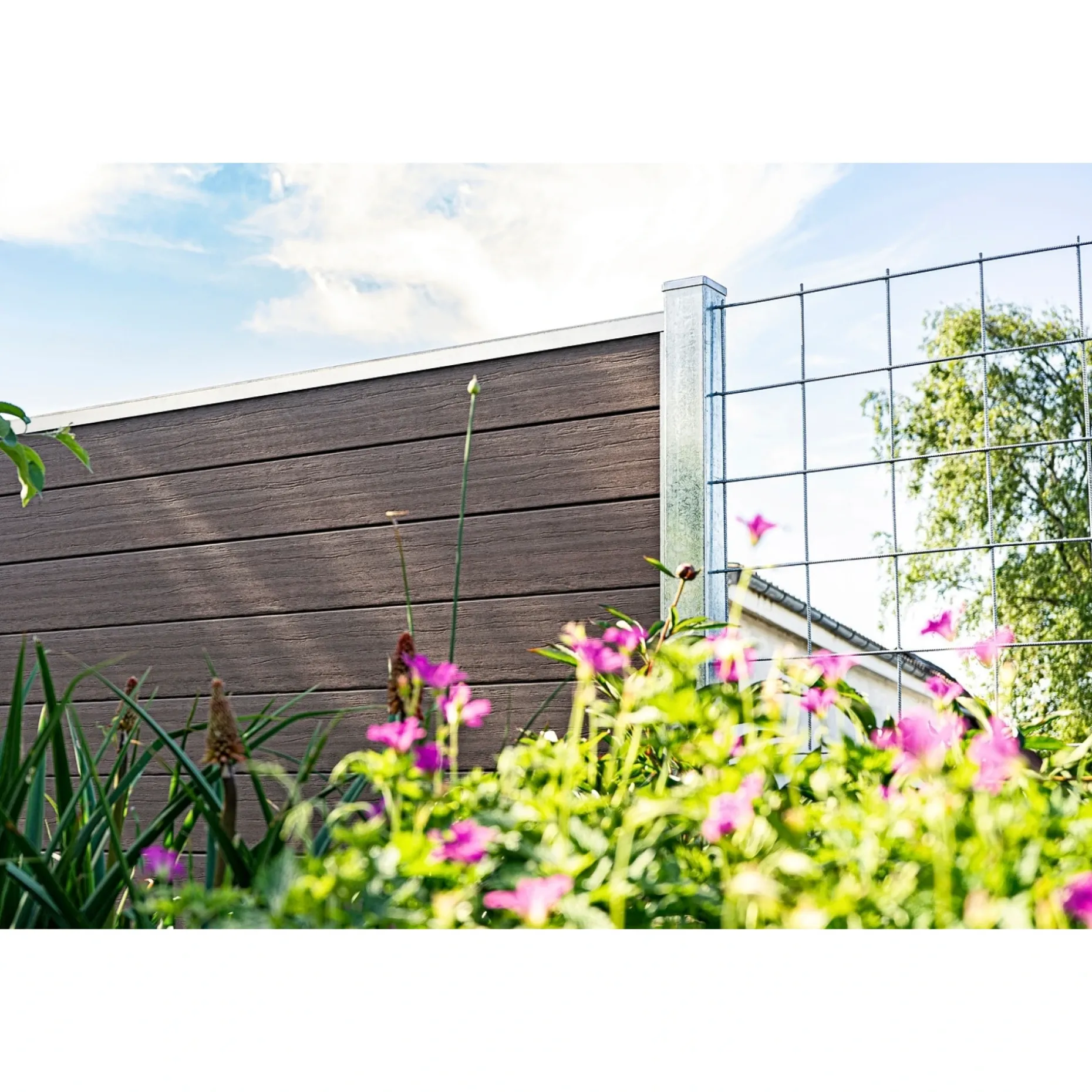 WIMEX LIVØ PRIME V-PROFIL HEGNSFAG MATBRUN 189.50 X 180 CM